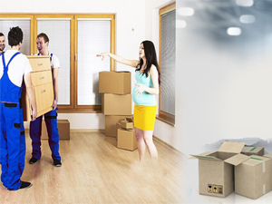 Mehmet Çolakoğlu Nakliyat Tecrübesi İle Sorunsuz Nakliyat