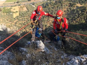 Söke’de bir haftadır mahsur kalan koyunu AKUT kurtardı