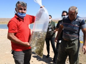 Kayseri’de 2021 yılında göl ve göletlere 678 bin yavru balık bırakıldı