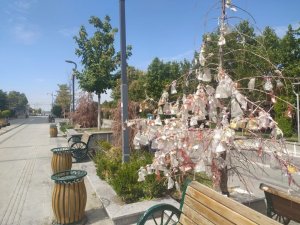 Kurumuş ağaçlar dilek ağacı oldu