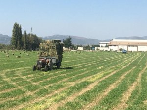 Germencik Belediyesi’nden üreticiye katkı