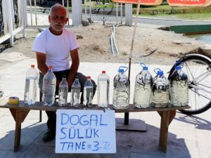 Geçimlerini 35 yıldır sülük satarak sağlıyorlar