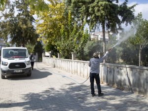 Mersin’de beyaz sinekle mücadele sürüyor