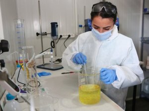 Keçiören’de üretilen bitkiler Ar-Ge merkezinde işlenecek