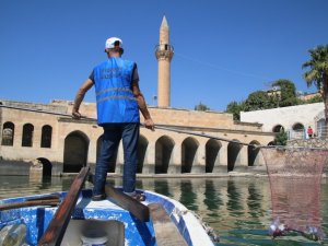 Şanlıurfa’nın saklı cenneti Halfeti’de kapsamlı temizlik
