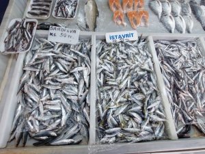 Poyraz, balık fiyatlarını allak bulak etti