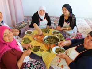 Amasya ’baklalı dolması’na coğrafi işaret tescili