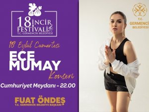 Germencik’te incir festivali için geri sayım başladı
