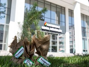 Kayserigaz, ’Daha Yeşil Bir Kayseri’ için abonelerine fidan hediye etti