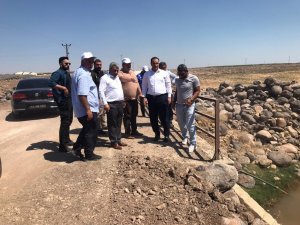 Viranşehir kırsalında asfalt çalışması