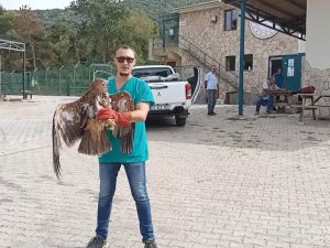 Kartallar yeniden mavi göklerle buluştu