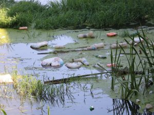 Tunca Nehrinde ödüllü çöp toplama etkinliği