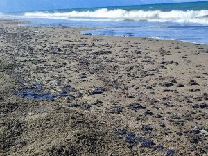 Hatay Samandağ sahilinde petrol sızıntısı temizliği 9. gün de devam ediyor