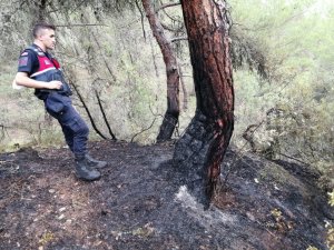 Karabük’te örtü altı yangını büyümeden söndürüldü