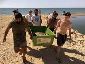 Belek’te kurtarılan Caretta’lar tedaviye alındı