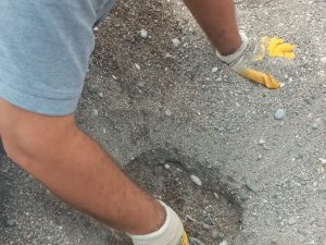 Kemer’de caretta carettalar denizle buluştu