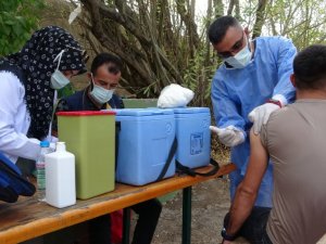 Van Gölü sahiline aşı standı kuruldu