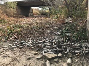 Kanalın suyu kesilince çirkin görüntüler ortaya çıktı