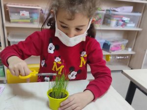 Sağlıklı Kentler Birliği’nden Çankaya’ya iki ödül