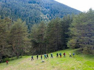 Bozkır’ın yaylaları Karadeniz’i aratmıyor