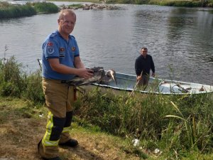 Derede misinaya takılan balıkçıl kuşunu itfaiye kurtardı