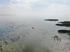 Uluabat Gölü can çekişiyor