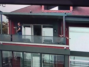 Nesli tükenmekte olan kuş sürüsü villaya daldı