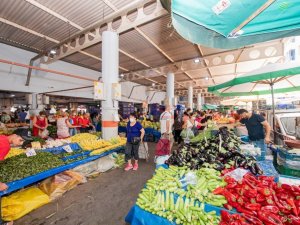 Yıllık 65 ton organik atıktan 40 ton organik gübre