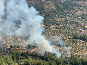 Muğla’da çıkan 10 yıldırım yangını büyümeden söndürüldü