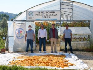 14 çeşit ürünün ata tohumları üretildi