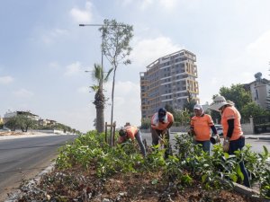 Mersin’de mevsimlik çiçek dikimi öncesi hazırlık