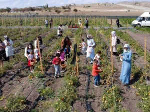 Doğayla baş başa bostan keyfi
