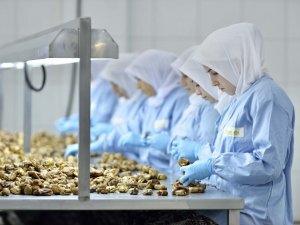 "Kuru incirin geleceği için sektör birlik ve beraberlik içinde olmalı”