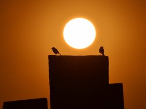 Tarihi Selçuklu Meydan Mezarlığı’nda seyrine doyumsuz gün batımı