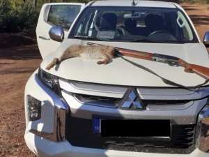 Bursa’da kaçak avcılara geçit yok