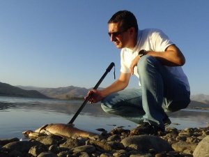 Van’daki balık ölümlerinin nedeni ‘ötrofikasyon’