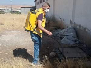 Haşerelerle mücadele çalışmaları Siirt genelinde devam ediyor