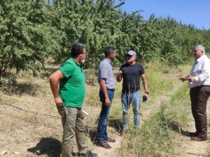 Kahta Ziraat Odası kuraklıkla mücadele için çalışıyor