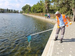 Titreyengöl’de temizlik çalışması