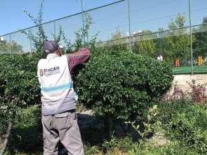 Sincan Belediyesinden ağaçlara sonbahar bakımı