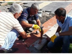 Bağlar Belediyesinden ’Engelli dostu belediyecilik’ hizmetleri