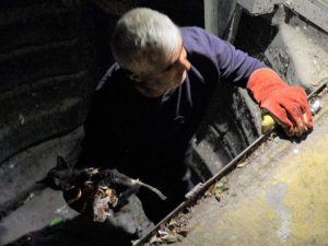 Çöpe atılan kediyi belediye kurtardı