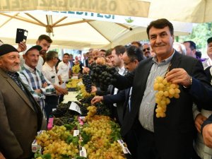 Osmangazi’de ‘üzüm’ vakti