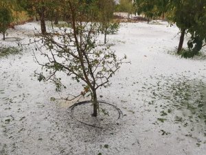 Mersin’de şiddetli yağmur ve dolu etkili oldu