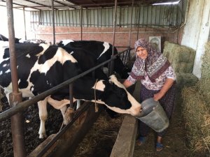 “Gençler hayvan bakmak istemeyince sektörde tehlike çanları çalmaya başladı”