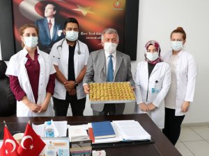 Amasya’daki ’mavi köy’ün muhtarından sağlık çalışanlarına jest