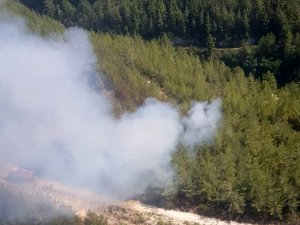 Osmaniye’deki orman yangını büyümeden söndürüldü