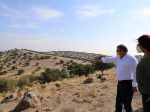 Yunusemre Belediyesi sokak hayvanları için rehabilitasyon merkezi kuruyor