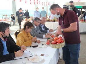 Tarım fuarında elma ve domates güzellik yarışması yapıldı