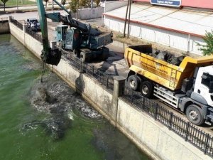 Balık ölümlerinin artmaya başladığı Akarçay’da temizlik çalışması başlatıldı